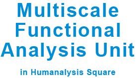 Multiscale Functional Analysis Unit